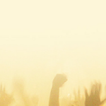 banner-01